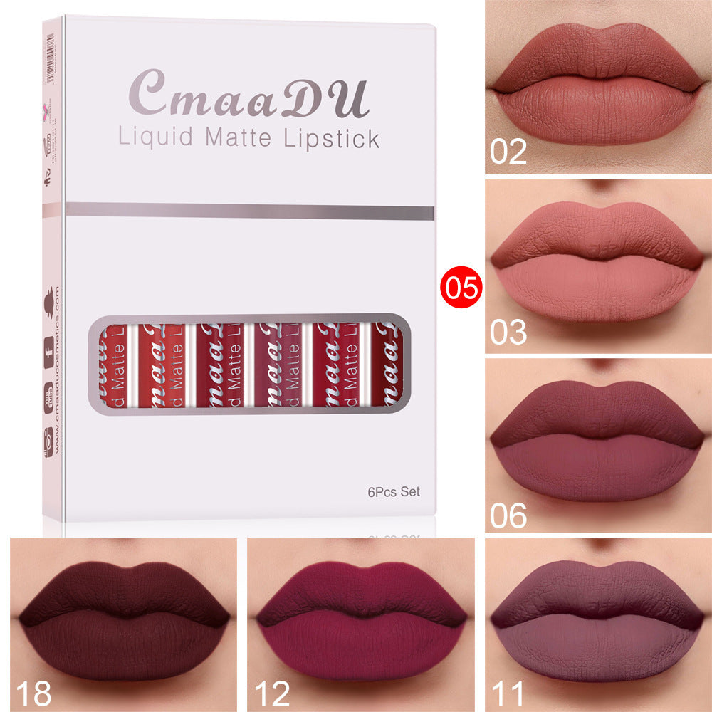 Rouge à Lèvres Mat Waterproof, Anti-Adhérent et Longue Tenue