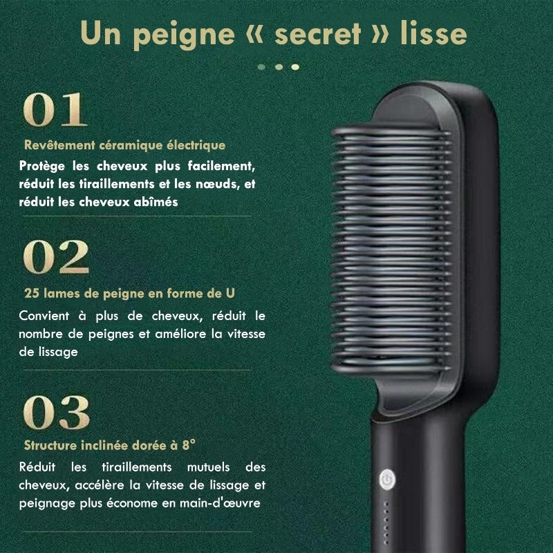 Brosse Fer À Lisser Pour Cheveux Électrique 2 en 1