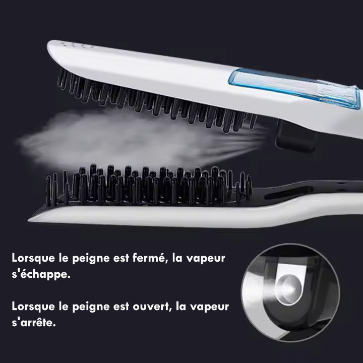 Lisseur Vapeur Authentique – Brushing et Lissage Sans Dommage (Sec et Mouillé)