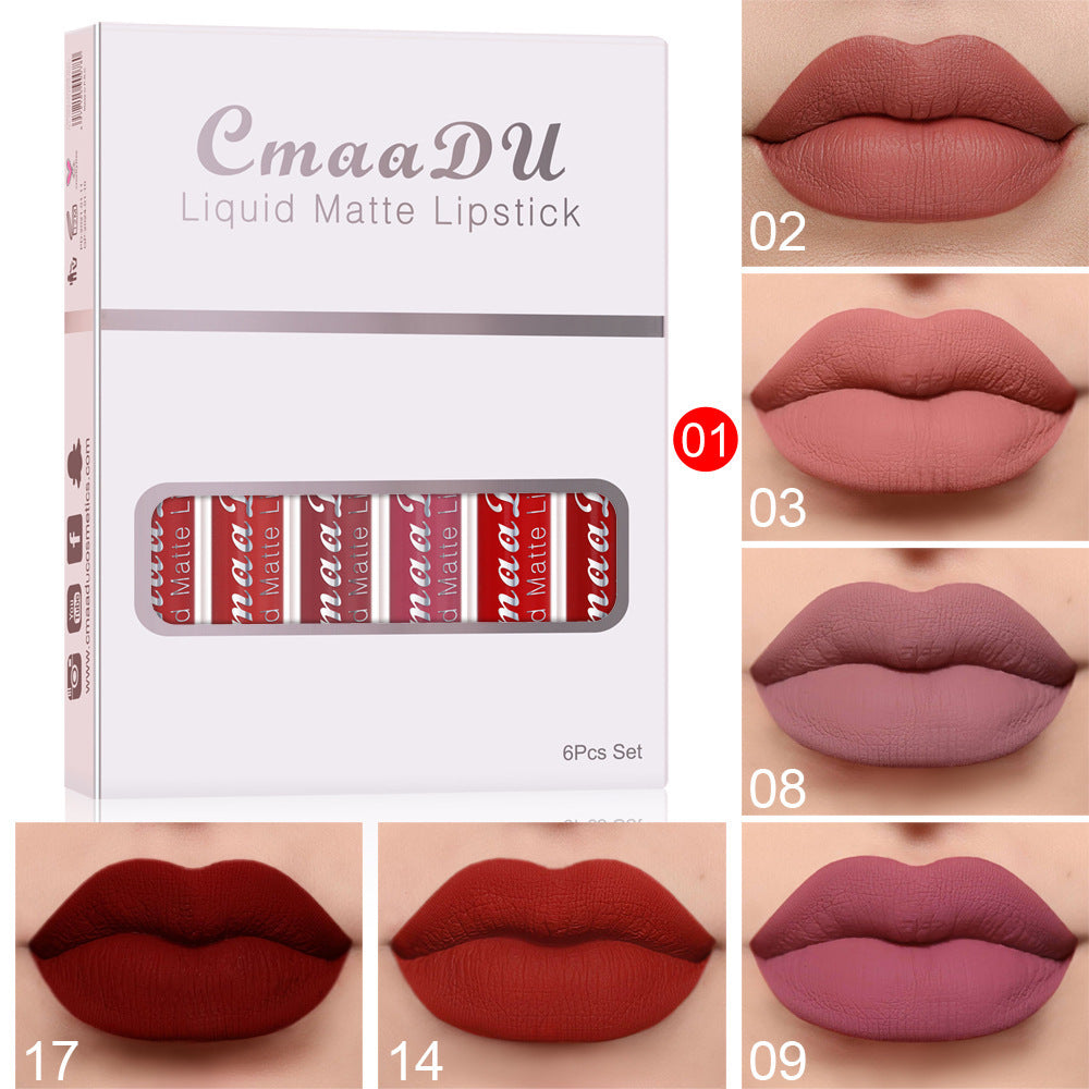 Rouge à Lèvres Mat Waterproof, Anti-Adhérent et Longue Tenue